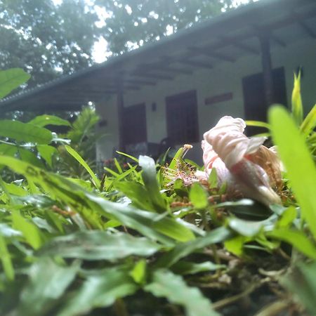 Sigiriya Hillside View Villa 외부 사진