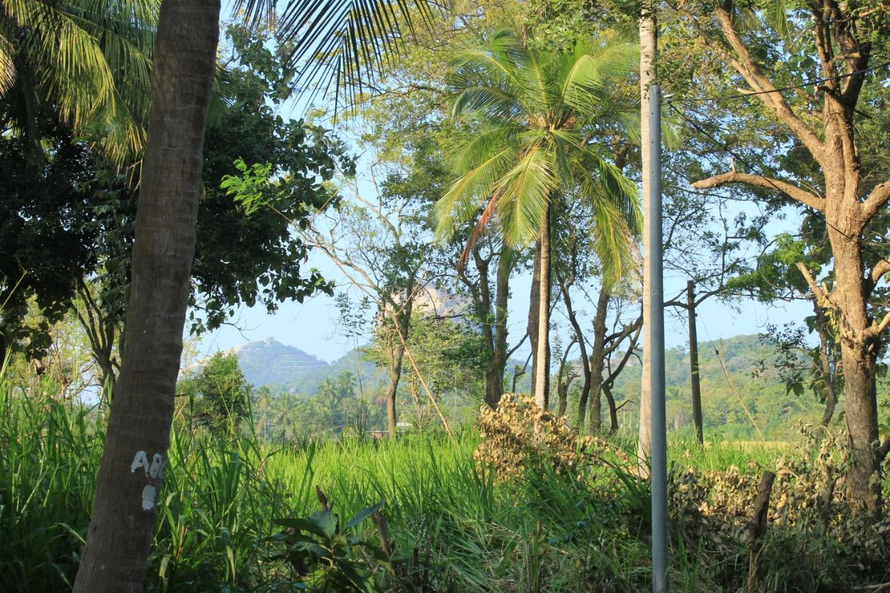 Sigiriya Hillside View Villa 외부 사진